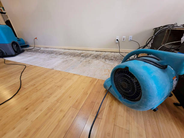 Reliable Basement Flood Cleanup contractor in Newton, KS by Hirex Water Damage