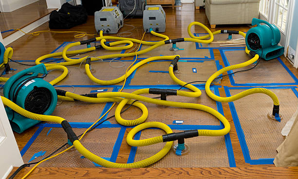 Professional Basement Flood Cleanup technician working in Newton, KS