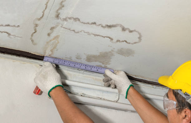 Affordable Water Damage Repair solutions in Newton, KS